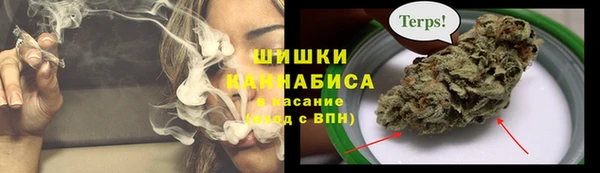 MDMA Новозыбков