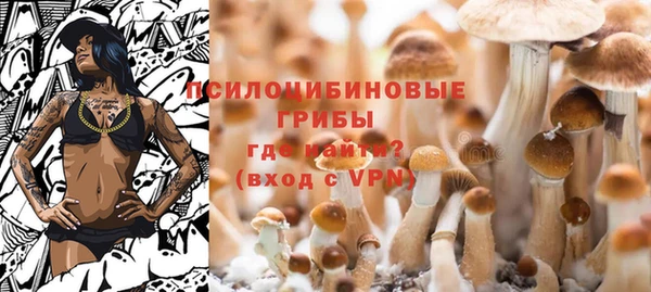 бошки Абдулино